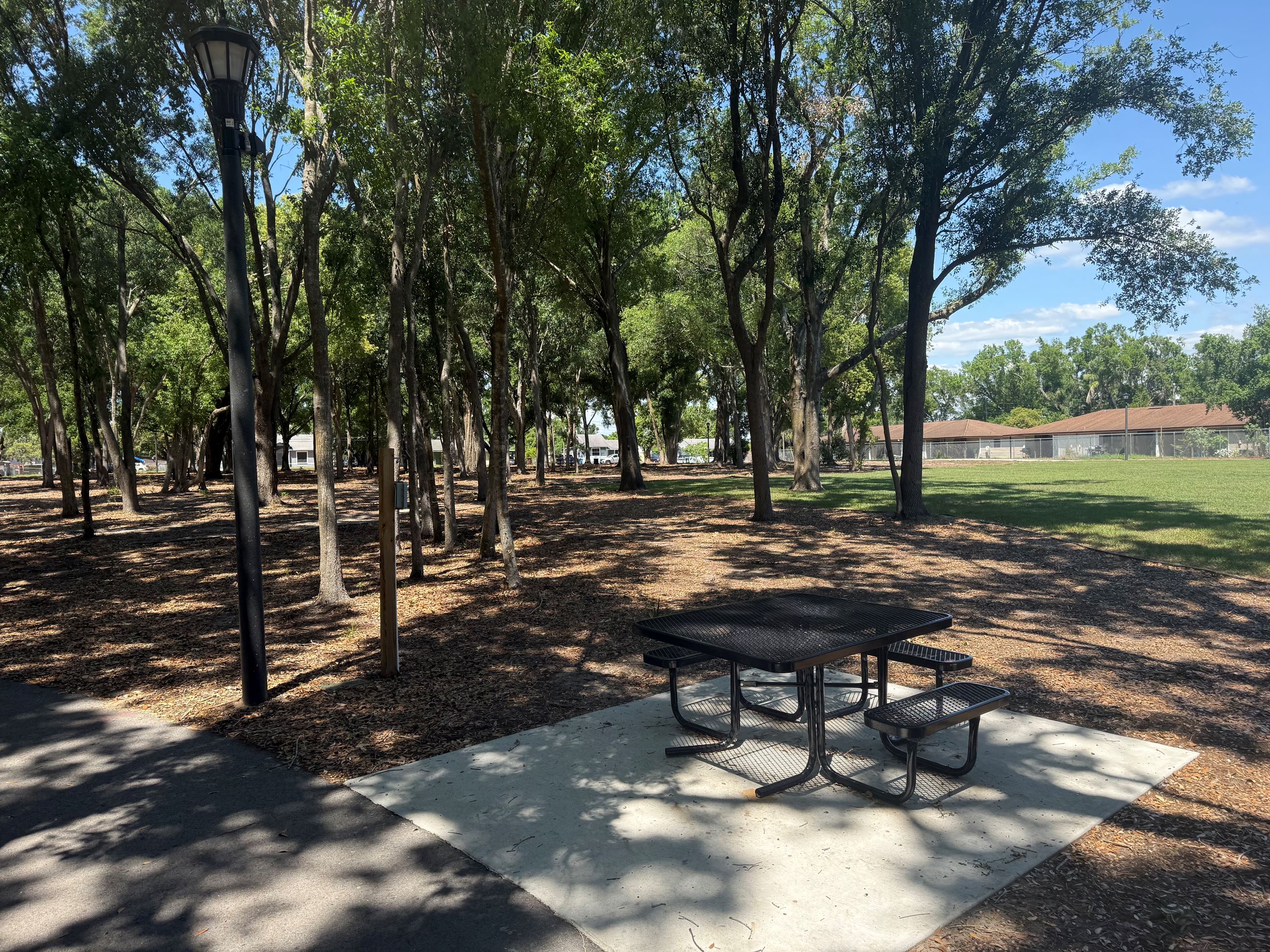 picnic table under tall trees in a park